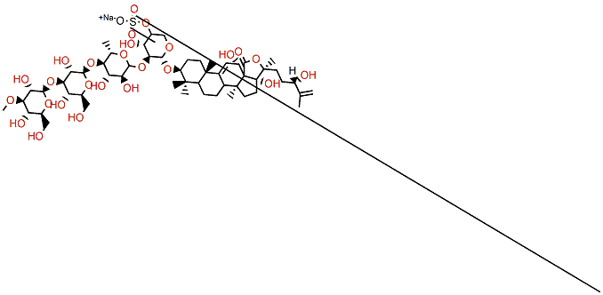 24-Hydroxy-25-dehydroechinoside A